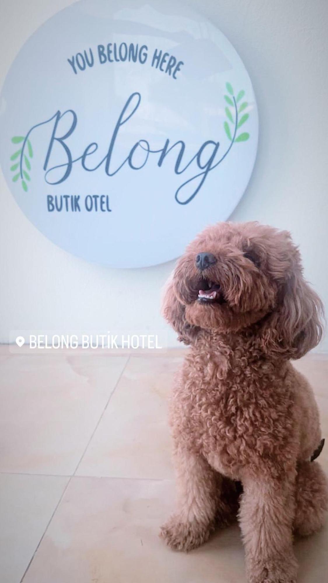 Belong Butik Otel Cesme Exterior photo